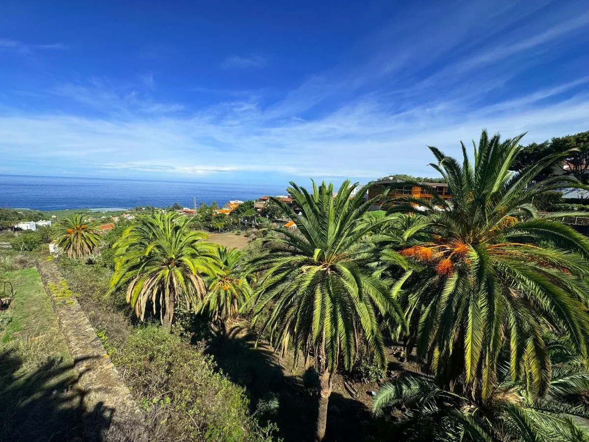 Říjnové slunečné Tenerife